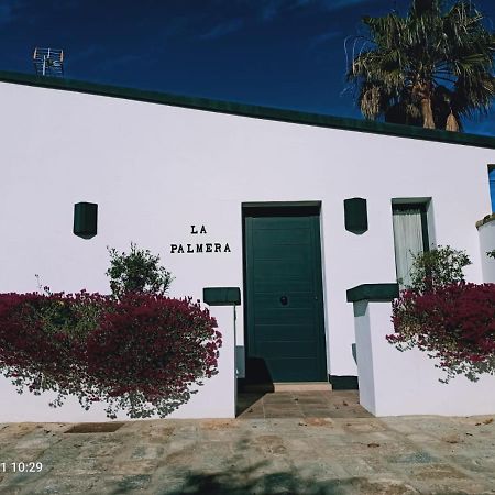 Casa La Palmera - Solo Familias Y Parejas Conil De La Frontera Εξωτερικό φωτογραφία
