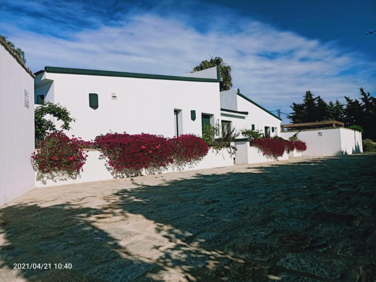 Casa La Palmera - Solo Familias Y Parejas Conil De La Frontera Εξωτερικό φωτογραφία
